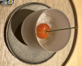 Dinner at Torisho Ishii Hina