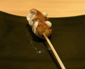 Dinner at Torisho Ishii Hina