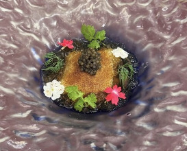 Dinner at Tout La Joie Ism (トゥ・ラ・ジョア イズム)