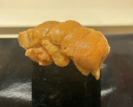 Dinner at Osaka Tenmangu Sushi Toyonaga (大阪天満宮 鮨とよなが)