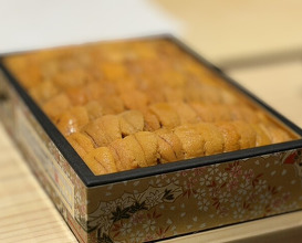 Dinner at Osaka Tenmangu Sushi Toyonaga (大阪天満宮 鮨とよなが)