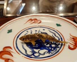 Dinner at Shunsai Ten Tsuchiya (旬彩天 つちや)