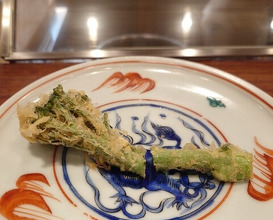 Dinner at Shunsai Ten Tsuchiya (旬彩天 つちや)