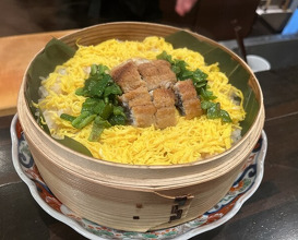 Dinner at Regional cuisine Tsugumi (郷土料理 嗣味)