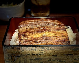 Dinner at Ikewanagi no Mise Tsugumi An (活鰻の店 つぐみ庵)