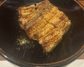 Dinner at Ikewanagi no Mise Tsugumi An (活鰻の店 つぐみ庵)