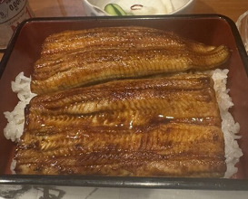 Dinner at Ikewanagi no Mise Tsugumi An (活鰻の店 つぐみ庵)