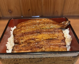 Dinner at Ikewanagi no Mise Tsugumi An (活鰻の店 つぐみ庵)