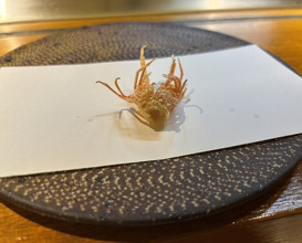 Dinner at Tsuru Hachi (鶴八)