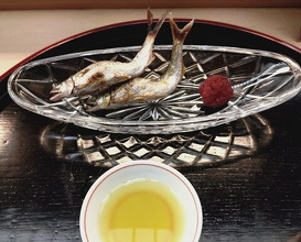 Dinner at Tsuru Yoshi (つる由)