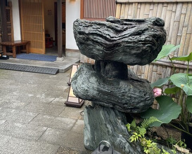 Dinner at Tsuru Yoshi (つる由)