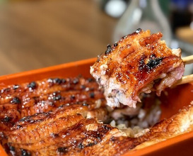 Dinner at Unagi Uomasa (うなぎ 魚政)