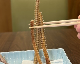 Dinner at Unagi Uomasa (うなぎ 魚政)