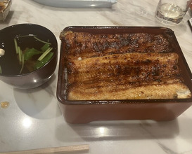 Dinner at Unagi Uomasa (うなぎ 魚政)