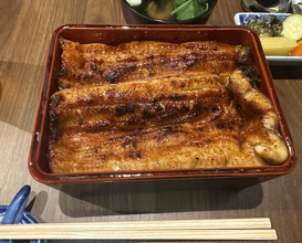 Dinner at Unagi Uomasa (うなぎ 魚政)