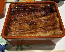 Dinner at Unagi Uomasa (うなぎ 魚政)