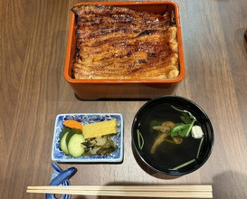 Dinner at Unagi Uomasa (うなぎ 魚政)