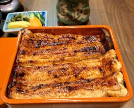 Dinner at Unagi Uomasa (うなぎ 魚政)