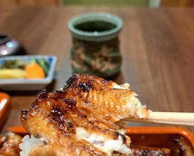 Dinner at Unagi Uomasa (うなぎ 魚政)