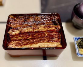 Dinner at Unagi Uomasa (うなぎ 魚政)