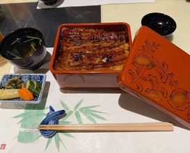 Dinner at Unagi Uomasa (うなぎ 魚政)