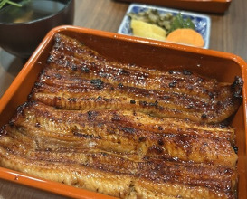 Dinner at Unagi Uomasa (うなぎ 魚政)