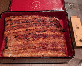 Dinner at Unagi Uomasa (うなぎ 魚政)