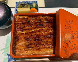 Dinner at Unagi Uomasa (うなぎ 魚政)
