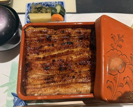 Dinner at Unagi Uomasa (うなぎ 魚政)