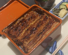 Dinner at Unagi Uomasa (うなぎ 魚政)