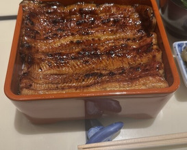Dinner at Unagi Uomasa (うなぎ 魚政)