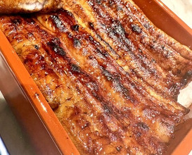Dinner at Unagi Uomasa (うなぎ 魚政)