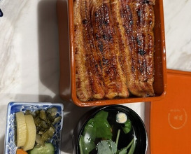 Dinner at Unagi Uomasa (うなぎ 魚政)