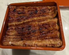 Dinner at Unagi Uomasa (うなぎ 魚政)