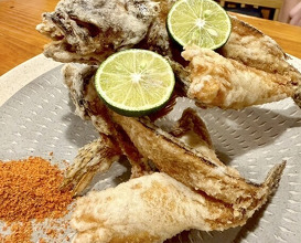 Dinner at Uotora (魚虎)
