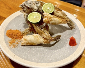 Dinner at Uotora (魚虎)