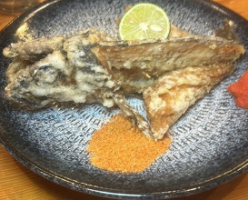 Dinner at Uotora (魚虎)