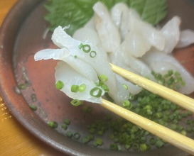 Dinner at Uotora (魚虎)