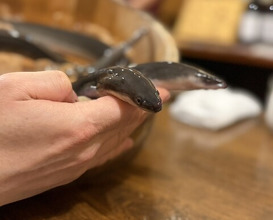 Dinner at Uran (う嵐)
