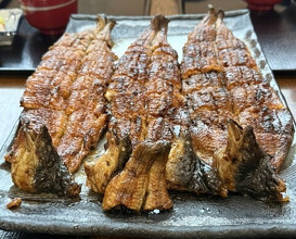 Dinner at Uran (う嵐)