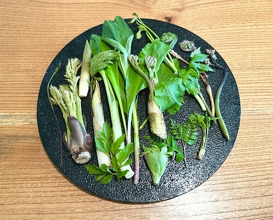 Dinner at VENTINOVE (ヴェンティノーヴェ)