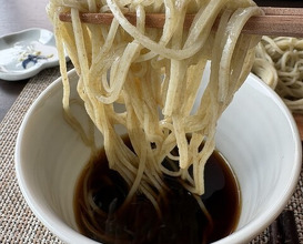 Dinner at Ishiusuhiki Soba Kobo Yama no Mi (石臼挽き蕎麦香房 山の実)