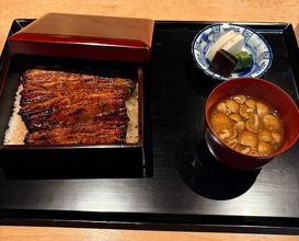 Dinner at Yamasei (山勢)