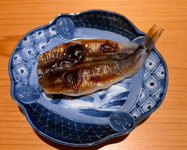Dinner at Sushidokoro  Yamato