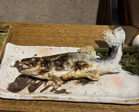 Dinner at Yanagiya (柳家)