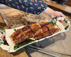 Dinner at Yanagiya (柳家)