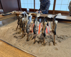 Dinner at Yanagiya (柳家)