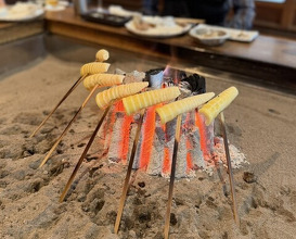 Dinner at Yanagiya (柳家)