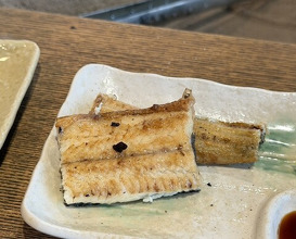 Dinner at Yanagiya (柳家)