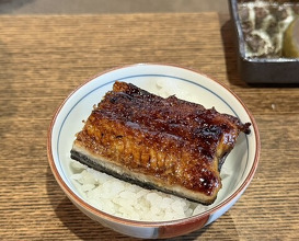 Dinner at Yanagiya (柳家)